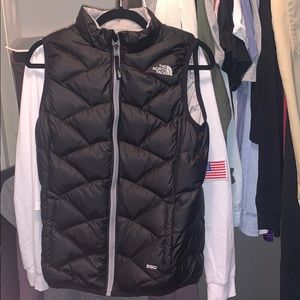 The north face vest